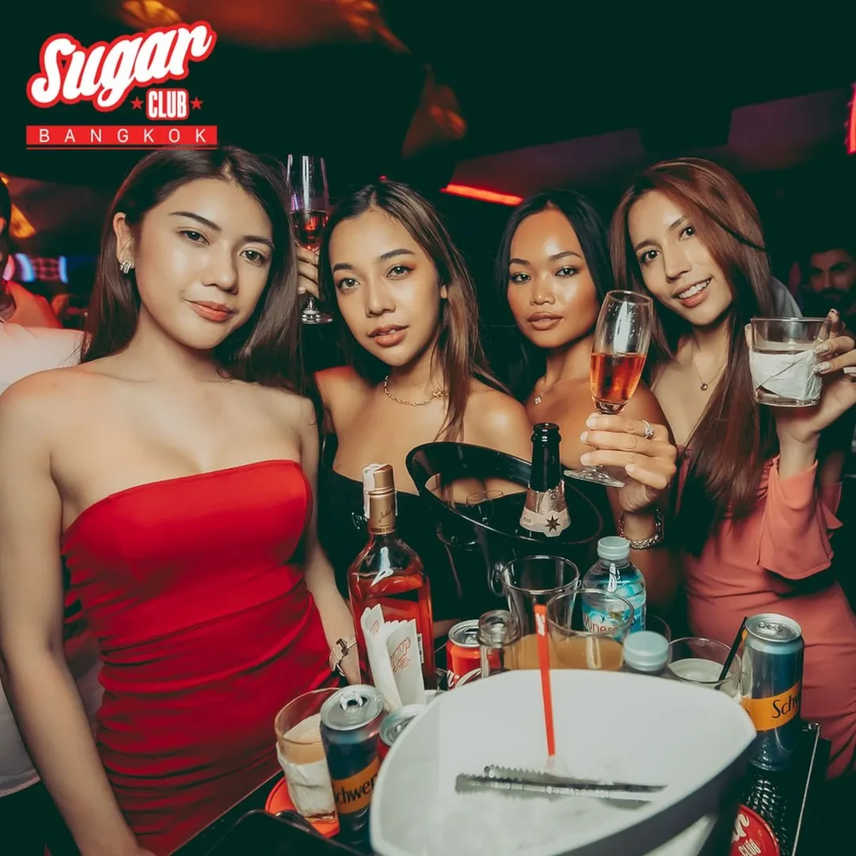 A lively group of gorgeous single ladies enjoying a night out at Sugar Club.