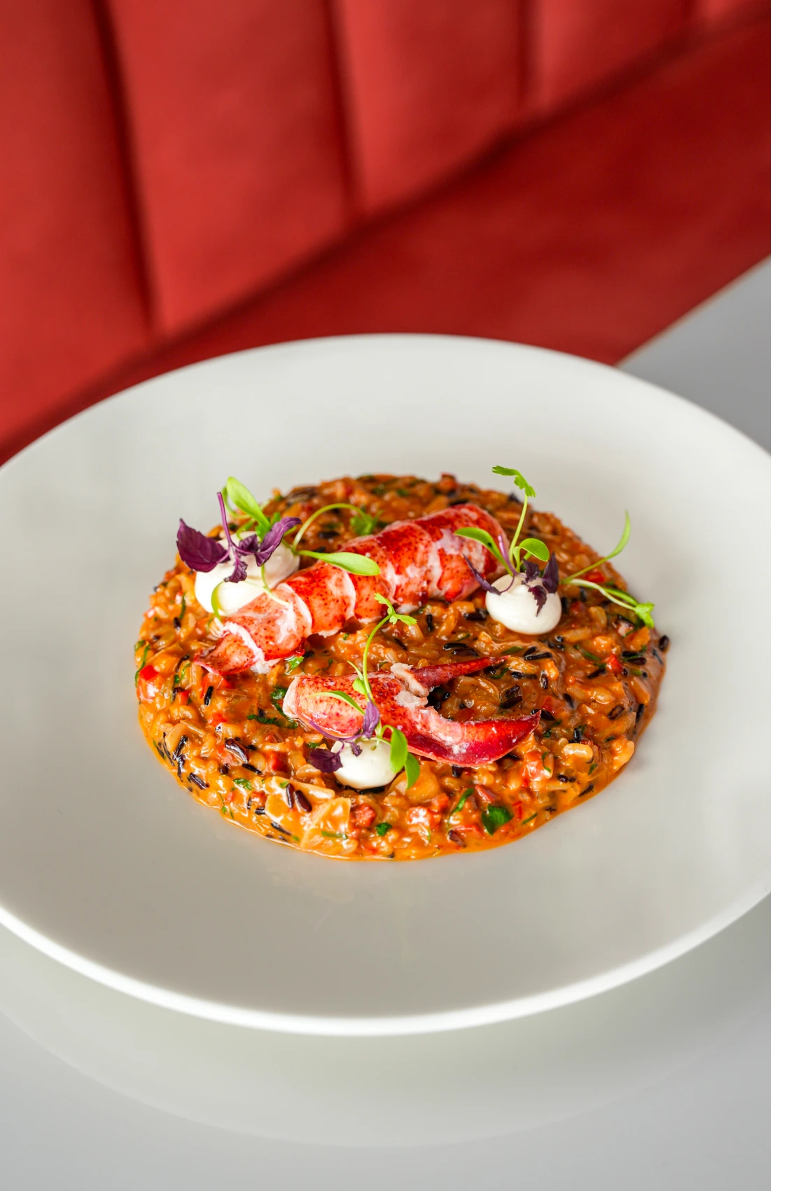 lobster risotto